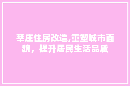 莘庄住房改造,重塑城市面貌，提升居民生活品质