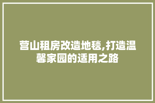 营山租房改造地毯,打造温馨家园的适用之路