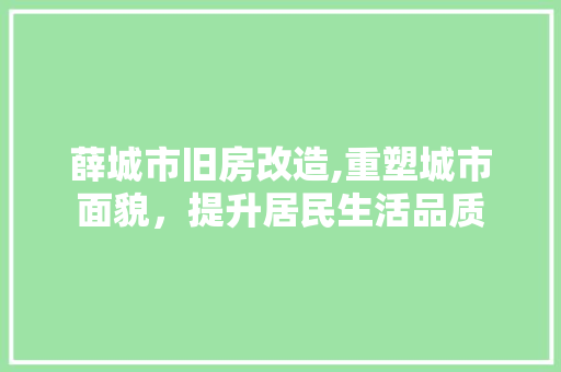 薛城市旧房改造,重塑城市面貌，提升居民生活品质