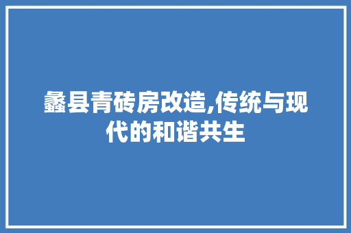 蠡县青砖房改造,传统与现代的和谐共生