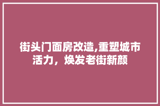 街头门面房改造,重塑城市活力，焕发老街新颜