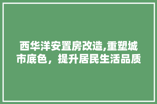西华洋安置房改造,重塑城市底色，提升居民生活品质