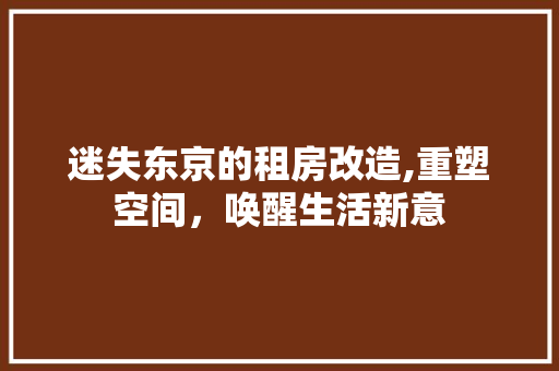 迷失东京的租房改造,重塑空间，唤醒生活新意