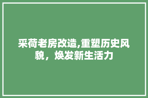 采荷老房改造,重塑历史风貌，焕发新生活力