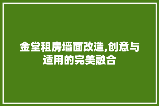 金堂租房墙面改造,创意与适用的完美融合