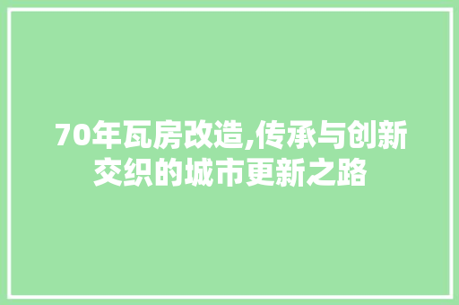 70年瓦房改造,传承与创新交织的城市更新之路