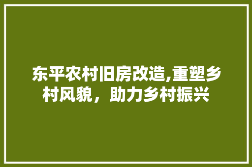 东平农村旧房改造,重塑乡村风貌，助力乡村振兴