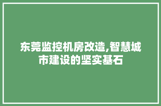 东莞监控机房改造,智慧城市建设的坚实基石