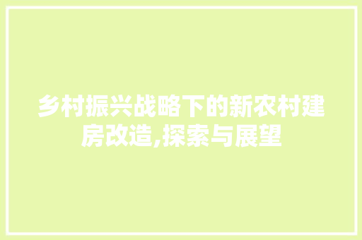 乡村振兴战略下的新农村建房改造,探索与展望