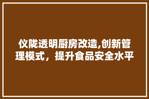 仪陇透明厨房改造,创新管理模式，提升食品安全水平