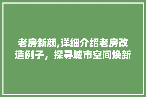 老房新颜,详细介绍老房改造例子，探寻城市空间焕新之路