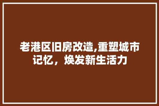 老港区旧房改造,重塑城市记忆，焕发新生活力
