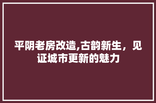 平阴老房改造,古韵新生，见证城市更新的魅力
