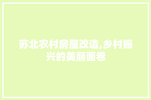 苏北农村房屋改造,乡村振兴的美丽画卷