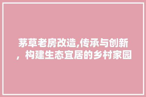 茅草老房改造,传承与创新，构建生态宜居的乡村家园