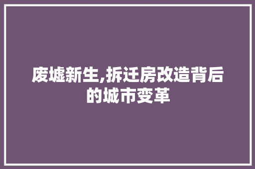 废墟新生,拆迁房改造背后的城市变革
