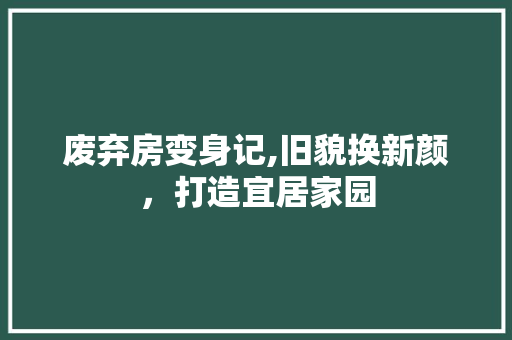 废弃房变身记,旧貌换新颜，打造宜居家园