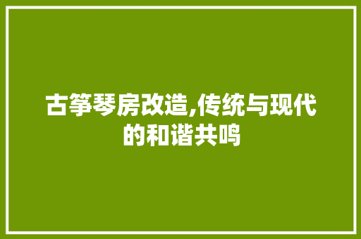 古筝琴房改造,传统与现代的和谐共鸣