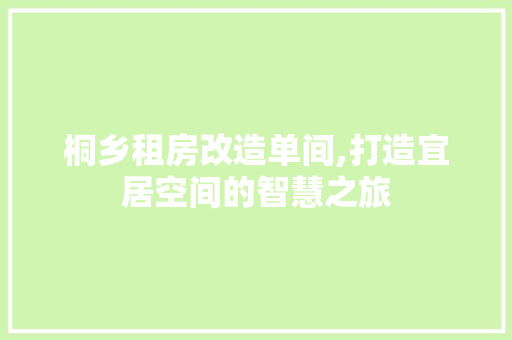 桐乡租房改造单间,打造宜居空间的智慧之旅