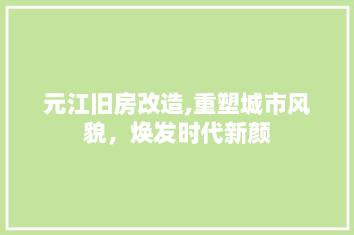 元江旧房改造,重塑城市风貌，焕发时代新颜