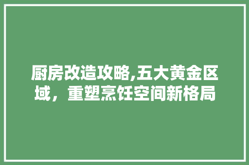 厨房改造攻略,五大黄金区域，重塑烹饪空间新格局