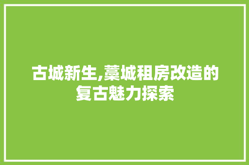 古城新生,藁城租房改造的复古魅力探索