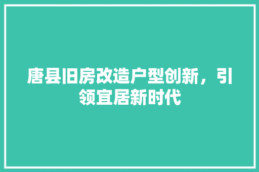 唐县旧房改造户型创新，引领宜居新时代