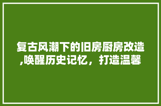 复古风潮下的旧房厨房改造,唤醒历史记忆，打造温馨家居空间