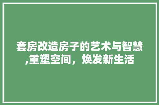 套房改造房子的艺术与智慧,重塑空间，焕发新生活