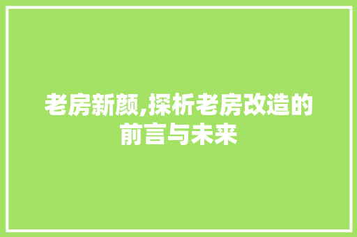 老房新颜,探析老房改造的前言与未来