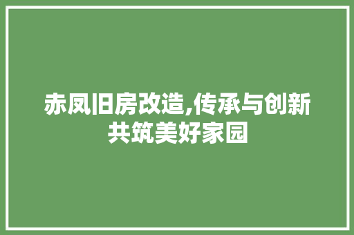 赤凤旧房改造,传承与创新共筑美好家园