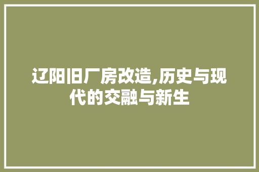 辽阳旧厂房改造,历史与现代的交融与新生