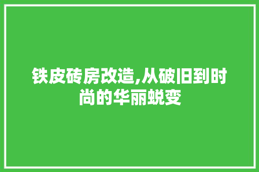 铁皮砖房改造,从破旧到时尚的华丽蜕变