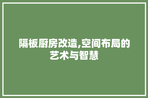 隔板厨房改造,空间布局的艺术与智慧