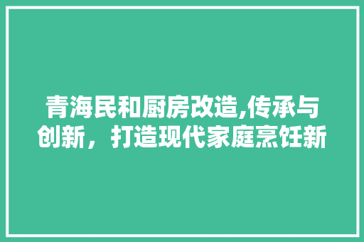 青海民和厨房改造,传承与创新，打造现代家庭烹饪新风尚