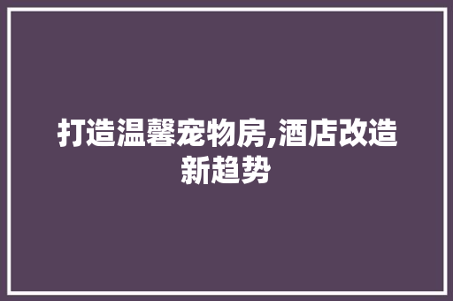 打造温馨宠物房,酒店改造新趋势