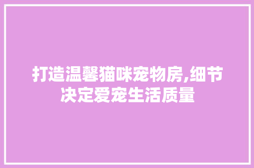 打造温馨猫咪宠物房,细节决定爱宠生活质量