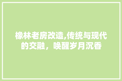 橡林老房改造,传统与现代的交融，唤醒岁月沉香