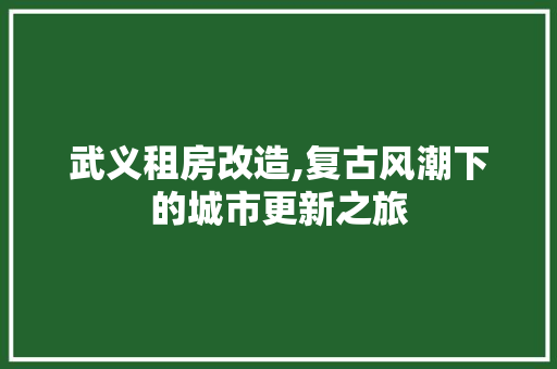 武义租房改造,复古风潮下的城市更新之旅