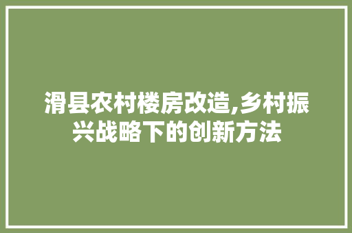 滑县农村楼房改造,乡村振兴战略下的创新方法