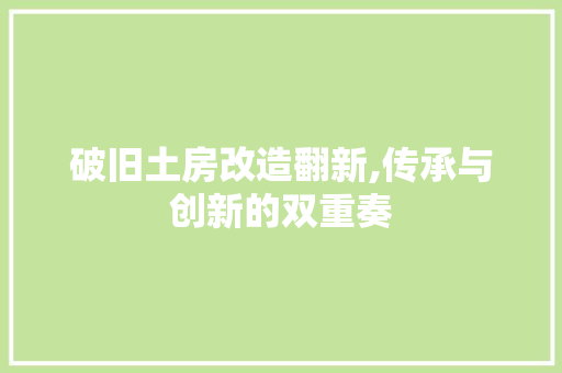破旧土房改造翻新,传承与创新的双重奏