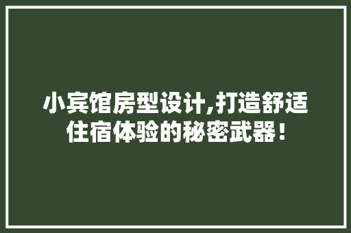 小宾馆房型设计,打造舒适住宿体验的秘密武器！