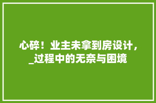 心碎！业主未拿到房设计，_过程中的无奈与困境