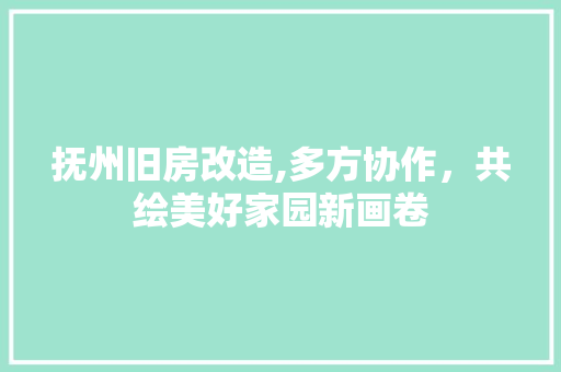 抚州旧房改造,多方协作，共绘美好家园新画卷