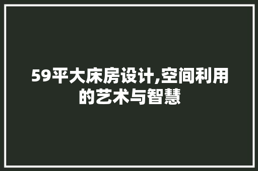 59平大床房设计,空间利用的艺术与智慧