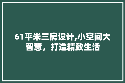 61平米三房设计,小空间大智慧，打造精致生活