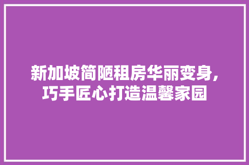新加坡简陋租房华丽变身,巧手匠心打造温馨家园