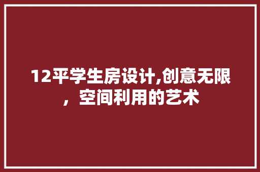 12平学生房设计,创意无限，空间利用的艺术