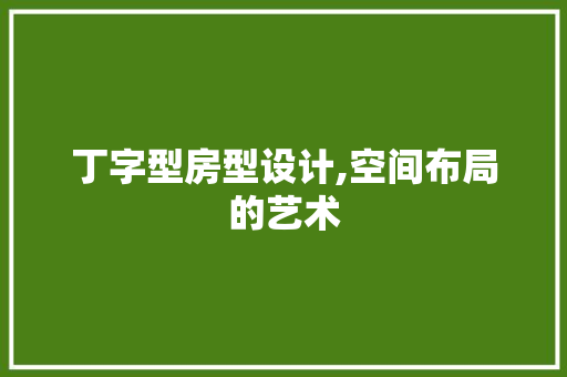 丁字型房型设计,空间布局的艺术