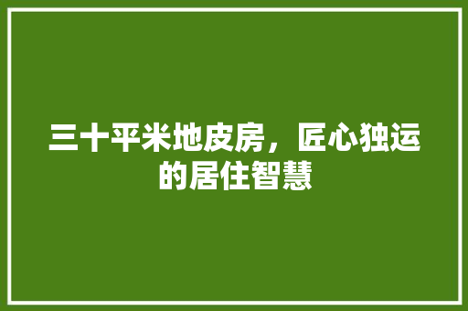 三十平米地皮房，匠心独运的居住智慧